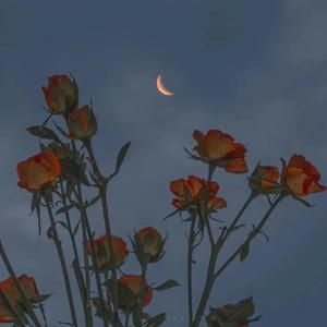 深喉凸出拳交极限
